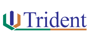 Trident Partners | From Crisis to Clarity — We Deliver Impact.